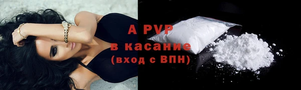 прущие грибы Армянск