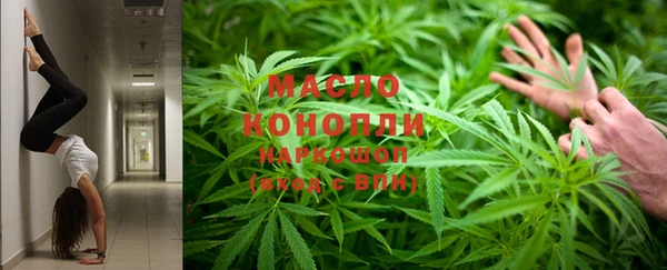 прущие грибы Армянск