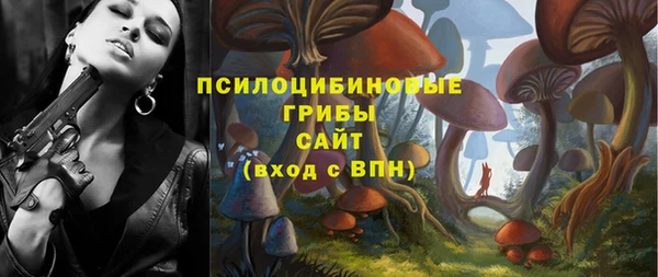 прущие грибы Армянск