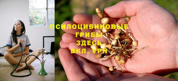 мет Аркадак