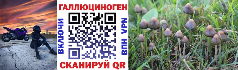 Галлюциногенные грибы Cubensis  где купить наркоту  Орёл 